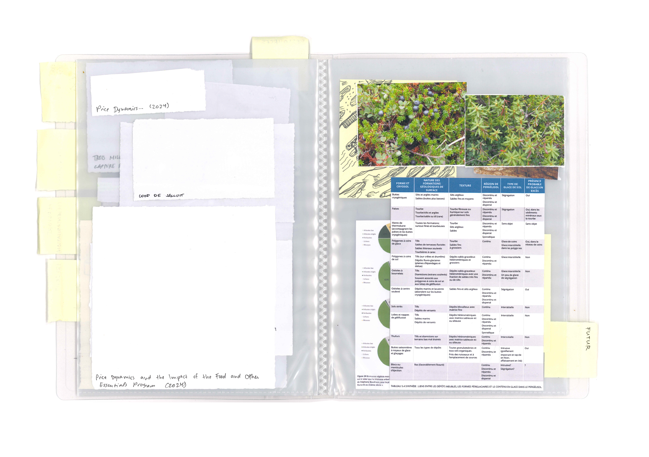 Pleins de lacs partout